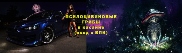хмурый Абинск