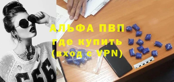 spice Новодвинск