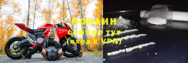 spice Новодвинск