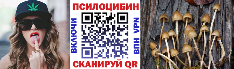 Псилоцибиновые грибы Psilocybine cubensis Бирюсинск