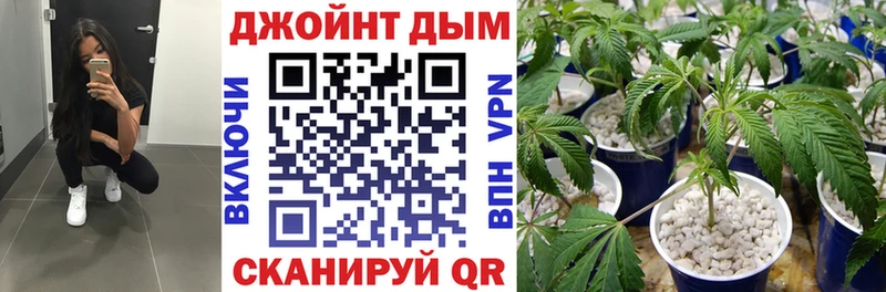Бошки Шишки LSD WEED  что такое   Бирюсинск 